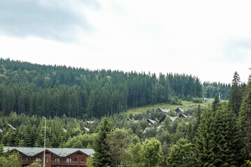 Scenic view of wooden houses nestled in a lush green forest on a hillside. Pine trees and cloudy sky create a peaceful mountain landscape with residential buildings