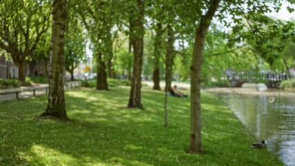 Obraz premium Blurred park scene with lush green grass, defocused trees, and flowers revealing people enjoying nature under the bokeh effect near a peaceful water stream.