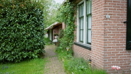 Defocused view of a charming house exterior with red brick wall partially covered in lush green leaves and bokeh showing a cozy garden path leading to a distant shed.