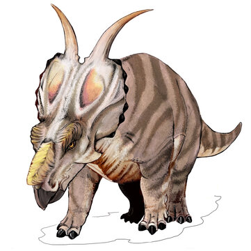 Reconstruction of Achelousaurus, a ceratopsid dinosaur from the Late Cretaceous Two Medicine Formation of Montana. Digital illustration by Mariana Ruiz (LadyofHats), 2006, based on Sampson (1995).
