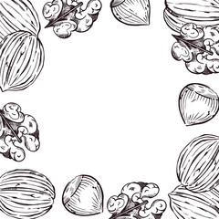 Square frame of nuts, walnuts, hazelnuts, nuts in the shell. All objects are hand-drawn in ink. The illustration is suitable for printing on fabric, paper, for product packaging design.