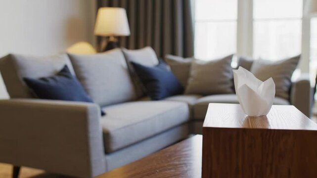 Stylish Wooden Tissue Holder on Table