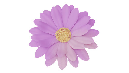 pink daisy isolated on white