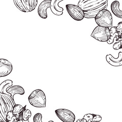 Vector frame of nuts, hazelnuts, cashews, walnuts, almonds, all objects are hand-drawn with ink. The illustration is suitable for printing on fabric, paper, kitchen towels, tableware decor.