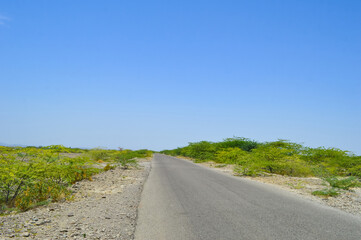 road to the blue sky tree and bushes highway travel landscape