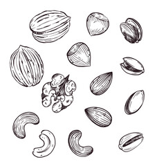 A set of vector illustrations. Nuts, walnuts, almonds, pistachios, cashews, hazelnuts. All objects are hand-drawn in vector. Illustrations are suitable for printing on fabric, paper, food cosmetics.