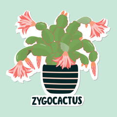 Blooming zygocactus in a pot. Cartoon houseplant with flowers and buds. Green, pink, blue and brown colors. Botanical object with paper cut shapes. Vector design for sticker, print on fabric, card.