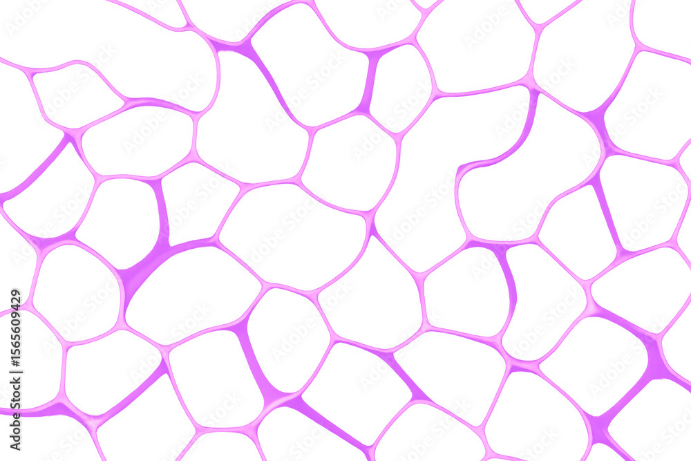Aufkleber interconnected linear web pattern forming irregular geometric shapes, transparent background enablin