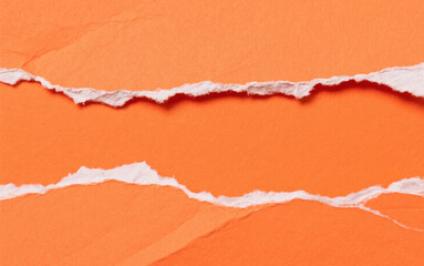 torn paper background