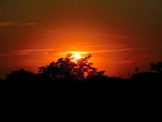 Sunset over the Forest