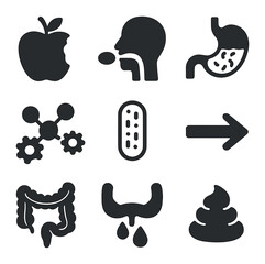 Food Digestion Icons. Solid, filled icons set of food journey through digestion: bitten apple, swallowed food,