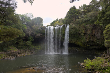A powerful waterfall cascades into a serene pool, surrounded by lush, vibrant green native bush, creating a captivating natural spectacle.