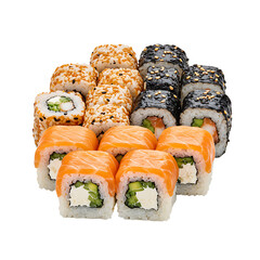 Sushi platter with assorted rolls including salmon and vegetables  