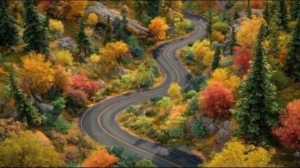 Bends and turns: A rural road winding through colorful autumn foliage, inviting travelers to embrace the unexpected delights of the journey.