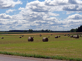 Rural field with hay bales  © light
