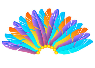 colorful carnival feather