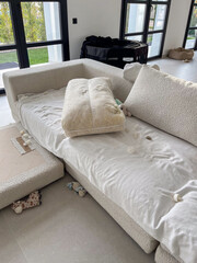 Obraz premium Mischievous puppies create chaos on a couch, leaving behind a fluffy aftermath of destruction and mystery in a cozy home environment filled with soft textures and scattered toys
