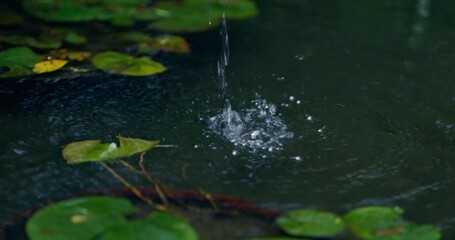 The water flows into the pond with water lilies in large drops. Close-up