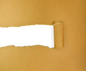 Torn Brown Paper with Revealing Hole