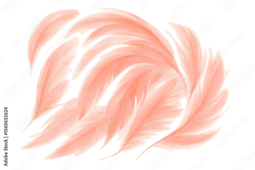 Poster light pink feathers are gently falling, creating a soft and elegant image on a transparent backgroun