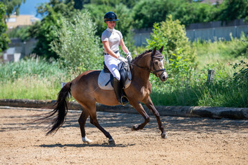 Turniersport / reiten