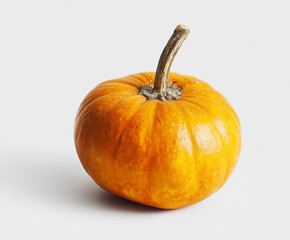 Fresh pumpkin with vibrant orange skin placed on a plain background for seasonal decoration and cooking