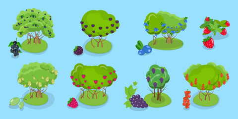 3D Isometric Flat Vector Illustration of Organic Fruits and Berries , Collection Of Shrubs Perfect For Gardens And Landscaping