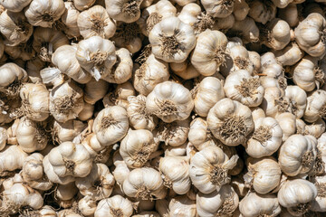 Bundles of garlic at a street food market in Italy