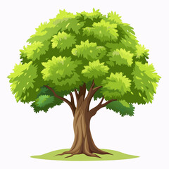 Elm tree with leaves