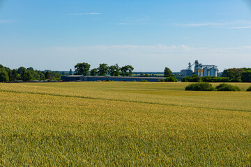 Silos dominate the skyline near expansive golden fields, highlighting a busy rural agriculture...