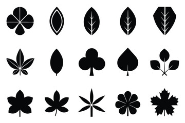 Leaf silhouettes, vector collection, diverse leaves shapes, nature elements. Ideal for eco friendly brand aesthetics, botanical illustrations, educational materials, artistic designs, decorations.