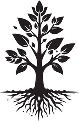 Obraz premium Tree Growth Silhouette – From Seedling to Mature Tree Minimal Vector