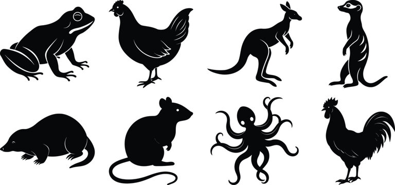 Collection of animal silhouettes isolated on transparent background