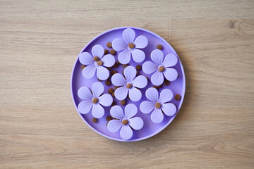 Top view of a purple flower-shaped slow feeder filled with dry cat food on a wooden surface....