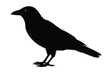 black raven silhouette vector icon