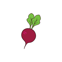 Fresh juicy beetroot with leafy green tops artistic flat vector Vector illustration