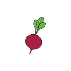 Beetroot with artistic leafy greens juicy purple root flat style Vector illustration