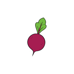 Juicy beetroot with curled leaves and fresh artistic vegetable Vector illustration