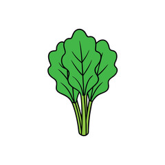 Leafy mustard greens with texture flat stylized vegetable vector Vector illustration