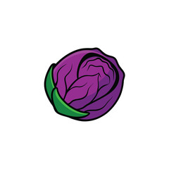 Half purple cabbage with texture layers flat vegetable design Vector illustration