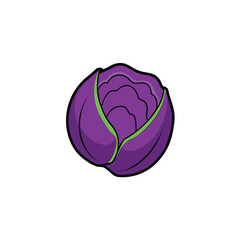 Purple cabbage sliced showing leaf layers clean vegetable art Vector illustration