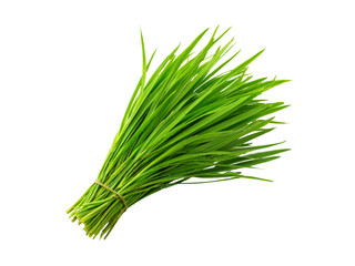 Fresh green wheatgrass bundle isolated on black background, Isolated On Transparent Background, Png