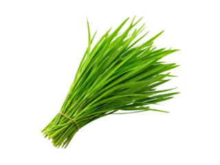 Fresh green wheatgrass bundle isolated on black background, Isolated On Transparent Background, Png