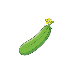 Fresh zucchini with yellow flowers clean vegetable cartoon vector Vector illustration