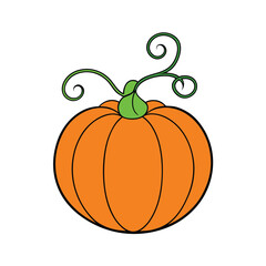 Orange pumpkin with green curling vine illustration Vector illustration