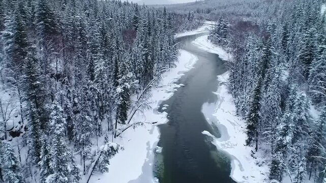 Frozen River Flowing Through a Snow Covered Forest in Winter