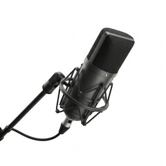 Condenser Microphone PNG – Professional Studio Mic with Shock Mount or Stand Isolated on Transparent Background for Podcasting, Voice Recording, Music Production, Streaming, and Broadcast Designs