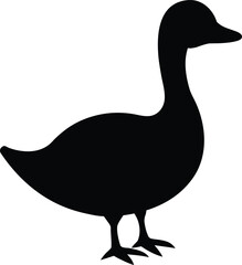 Flat Vector of a Goss Chick with Rounded Body and Upright Standing Pose Line Art