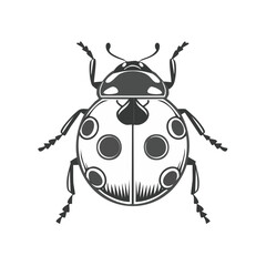 Graphic Ladybug Vector Illustration, Black and White, Spot Pattern, Insect, Nature, Bug