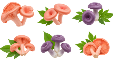 A vibrant arrangement of pink and purple mushrooms nestled among green leaves, showcasing their unique shapes and colors